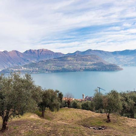 Residenza Coccinelle Vista Lago D'Iseo Tavernola Bergamasca Eksteriør billede