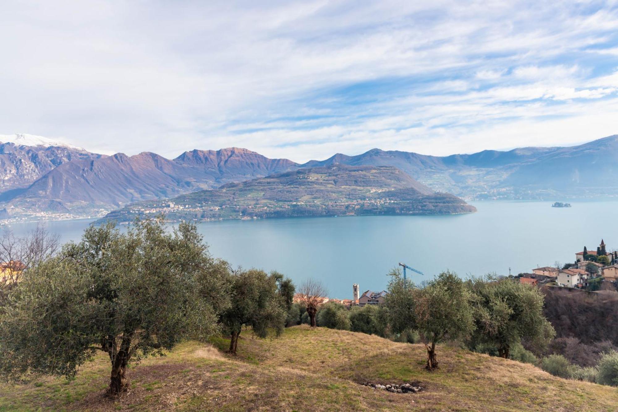 Residenza Coccinelle Vista Lago D'Iseo Tavernola Bergamasca Eksteriør billede