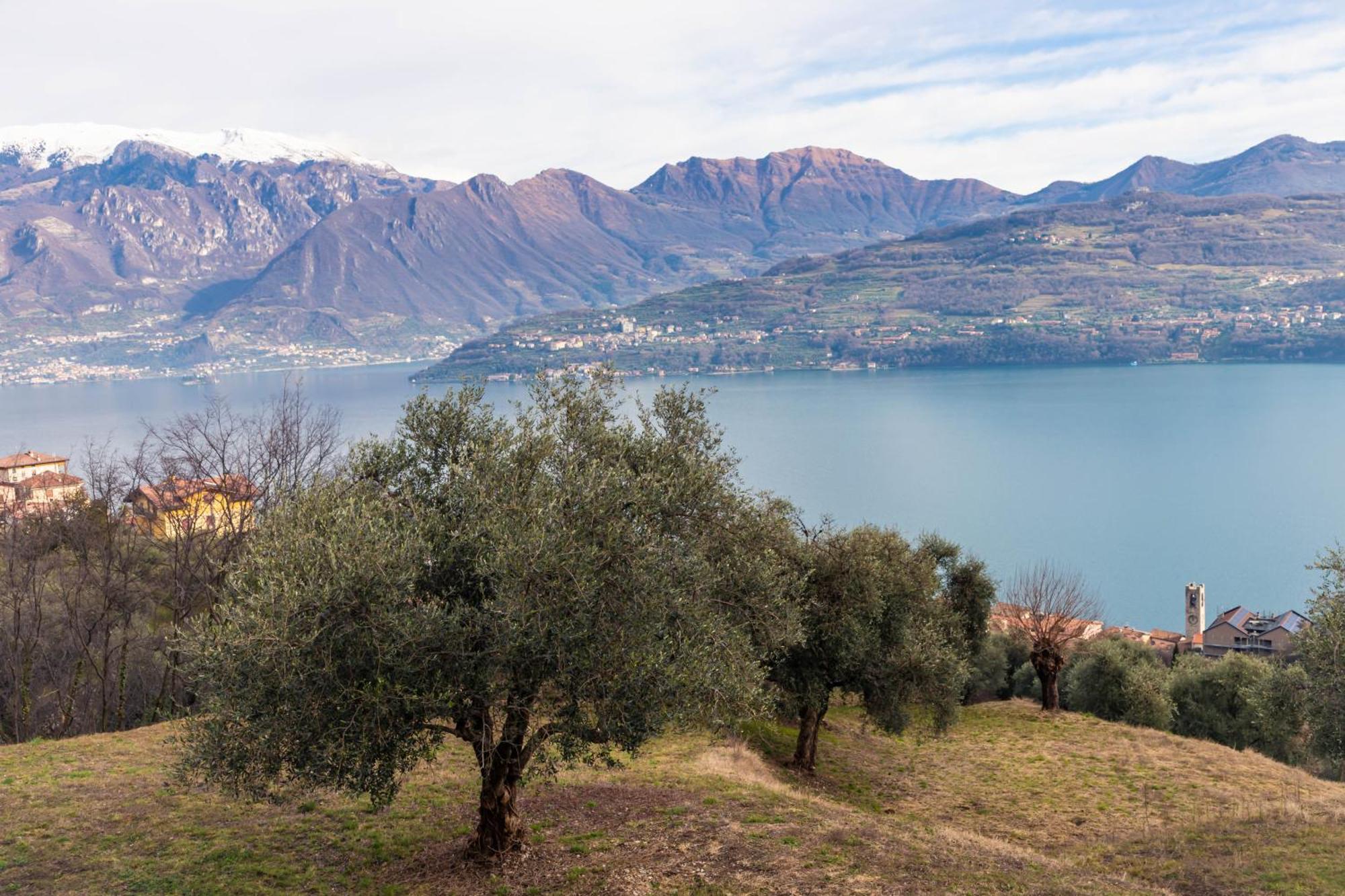 Residenza Coccinelle Vista Lago D'Iseo Tavernola Bergamasca Eksteriør billede